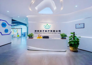 ประเทศจีน Shenzhen Weizi Medical Co., Ltd. รูปแบบของบริษัท