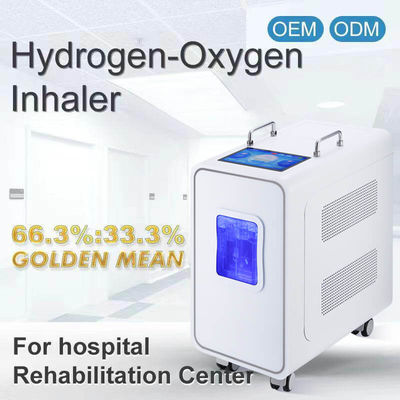 ราคาดี 110v 220v เครื่องบําบัดด้วยการหายใจไฮโดรเจน PEM ที่บ้าน 3000ml ออนไลน์