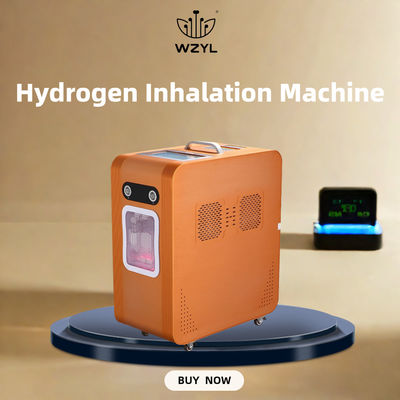 Good price AC220V ไฮโดรเจน ไฮโดรเจนอ๊อกซิเจนอินฮาเลอร์ ไฮโดรเจนอินฮาเลอร์เครื่อง 3000ml/M ออนไลน์