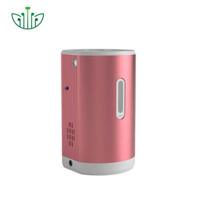 Good price Portable Hydrogen Inhaler with 99.9% Pure Hydrogen 150ml/min Output and 75ml/min Oxygen for Therapy ออนไลน์